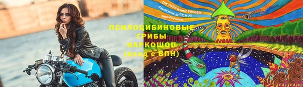 2c-b Алзамай