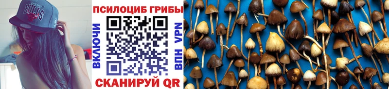 Галлюциногенные грибы прущие грибы ОМГ ОМГ маркетплейс Находка