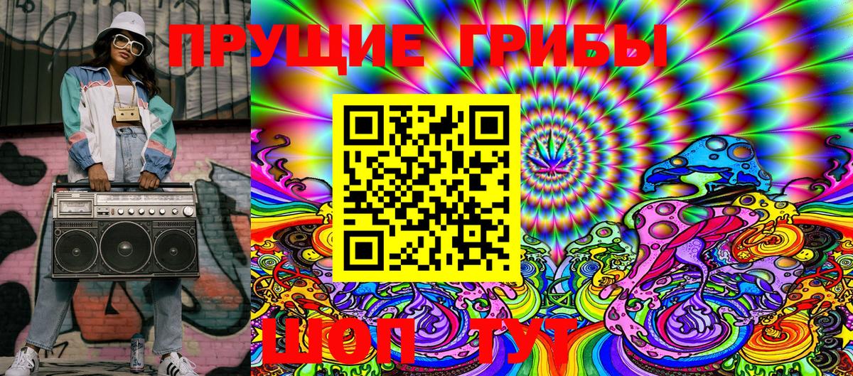 Галлюциногенные грибы Psilocybe Находка