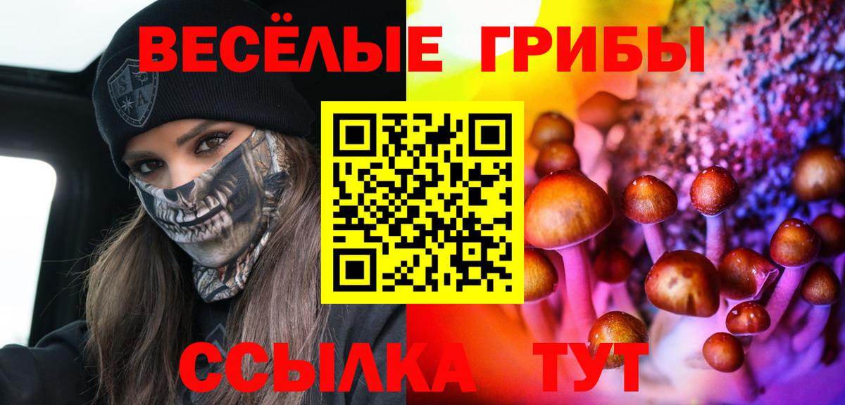 Находка  Галлюциногенные грибы Psilocybine cubensis  Вход с VPN  Псилоцибиновые грибы прущие грибы 